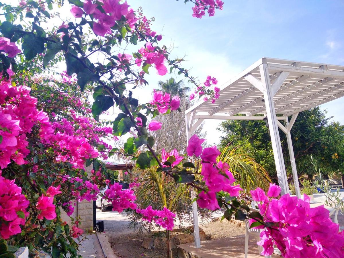 Finca El Aulagar Malaga Ngoại thất bức ảnh