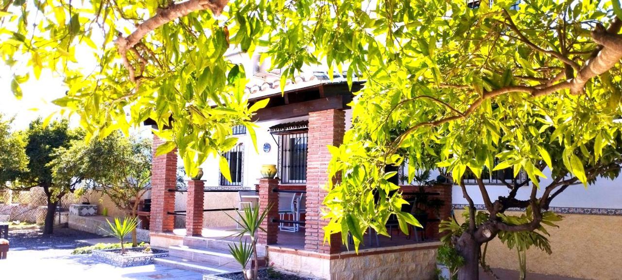 Finca El Aulagar Malaga Ngoại thất bức ảnh