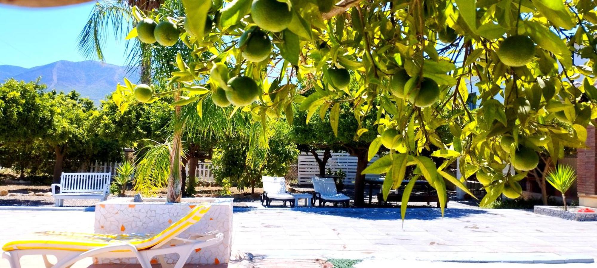 Finca El Aulagar Malaga Ngoại thất bức ảnh